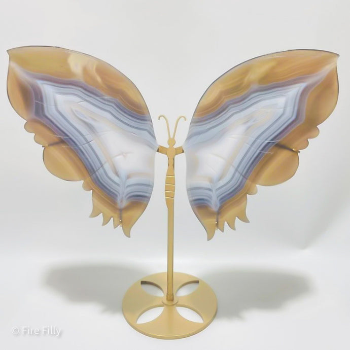 BANDED AGATE COLLECTOR’S BUTTERFLY WINGS