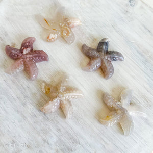 FLOWER AGATE STARFISH