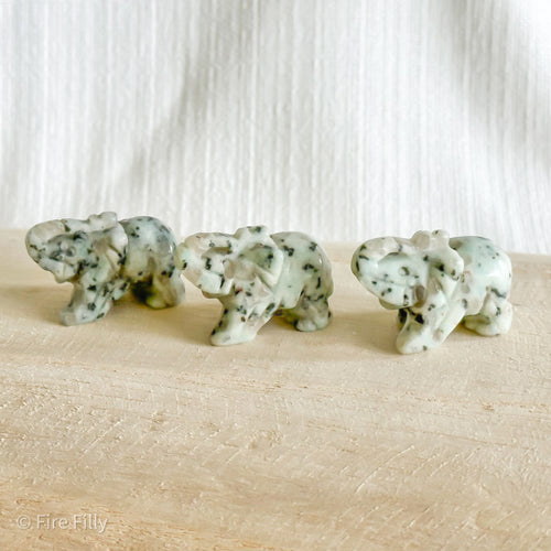 KIWI JASPER ELEPHANT